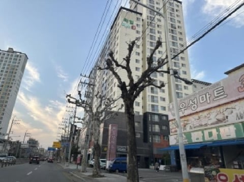 물건 사진 1