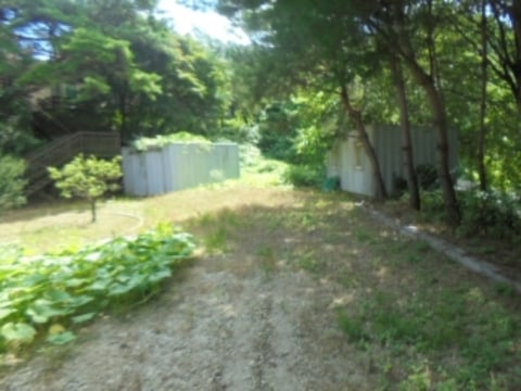 물건 사진 15
