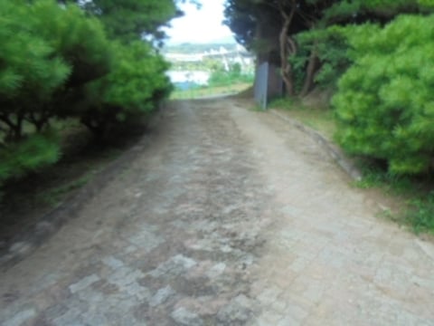 물건 사진 19