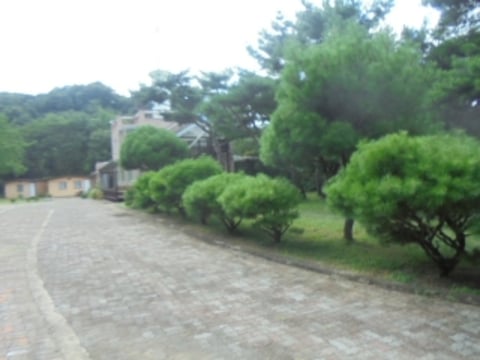 물건 사진 9