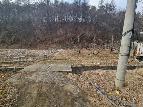 물건 사진 17