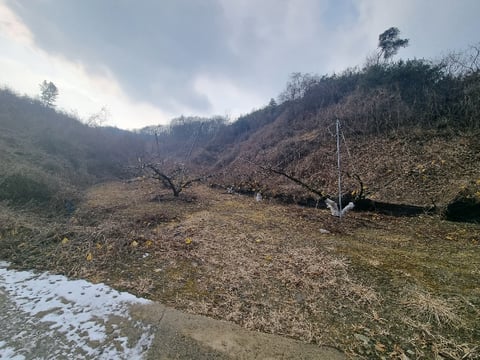 물건 사진 18
