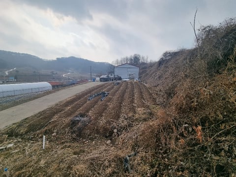 물건 사진 19