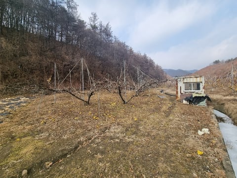 물건 사진 21