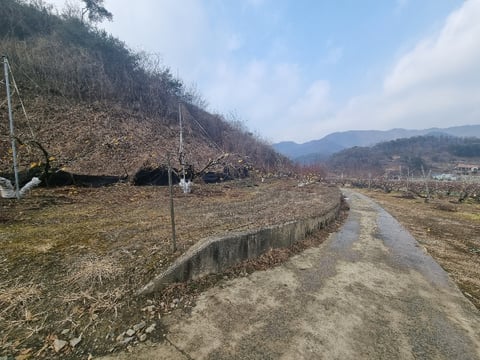 물건 사진 22