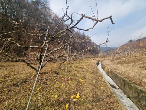 물건 사진 25