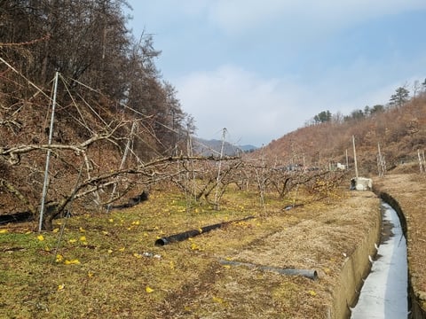 물건 사진 28