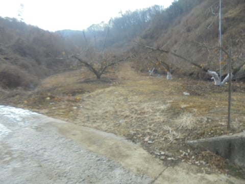 물건 사진 8