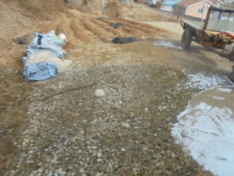 물건 사진 11