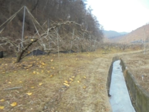 물건 사진 5