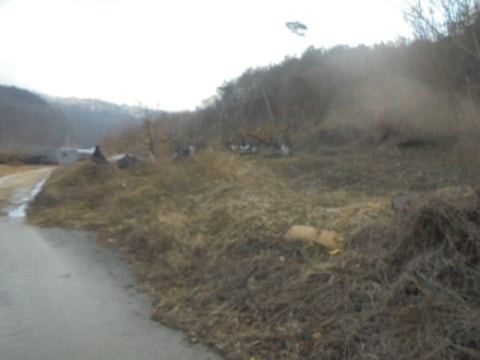 물건 사진 7