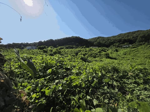 물건 사진 12