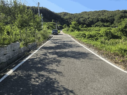 물건 사진 13