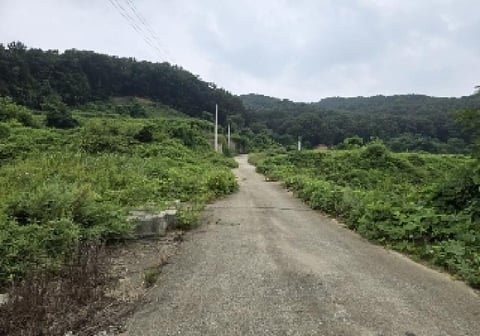 물건 사진 4