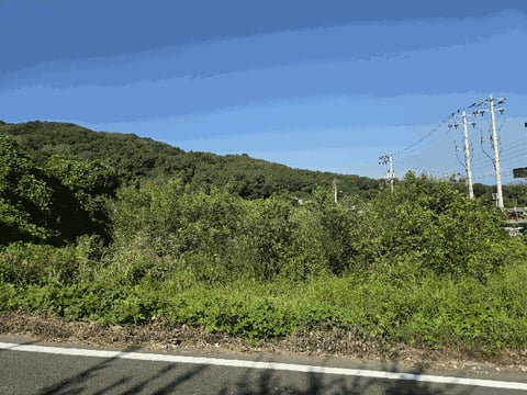 물건 사진 10