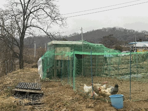물건 사진 12