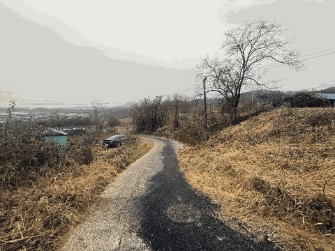 물건 사진 13