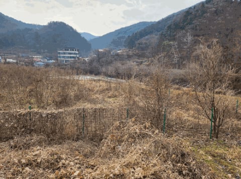 물건 사진 11