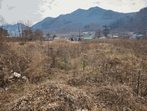 물건 사진 3