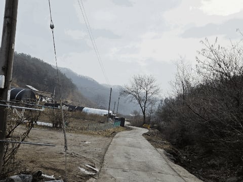물건 사진 13