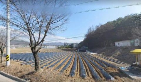 물건 사진 1