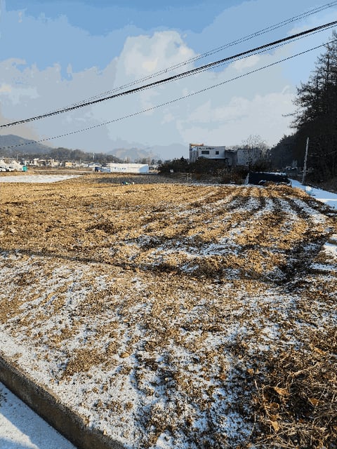 물건 사진 6