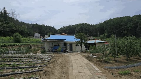 물건 사진 11