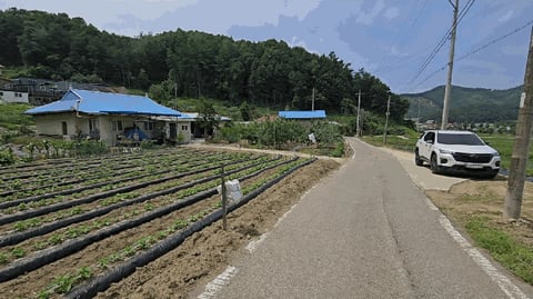 물건 사진 10