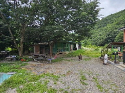 물건 사진 5