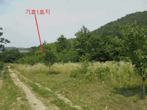 물건 사진 45