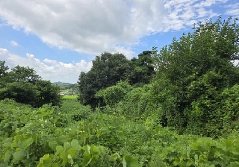 물건 사진 17