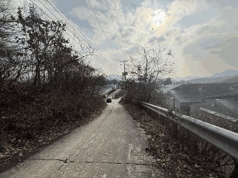 물건 사진 19
