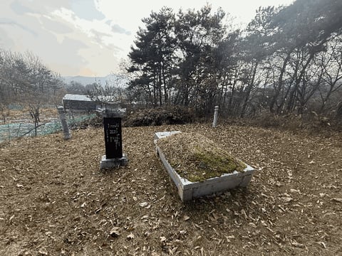물건 사진 20