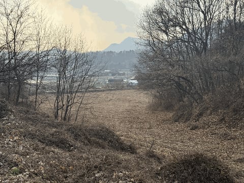 물건 사진 21