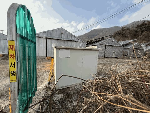 물건 사진 24