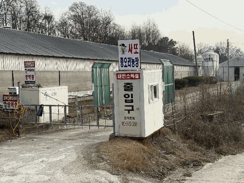 물건 사진 32
