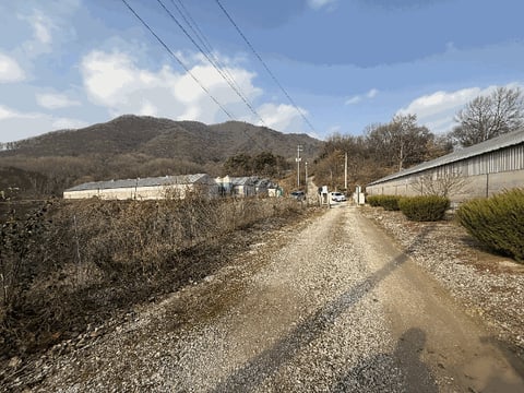물건 사진 33