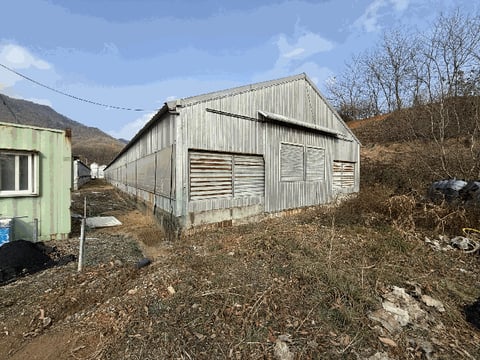 물건 사진 42