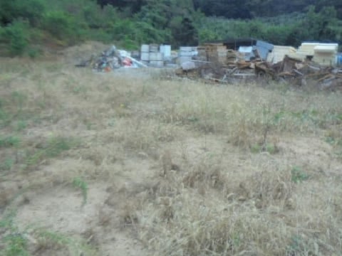 물건 사진 11