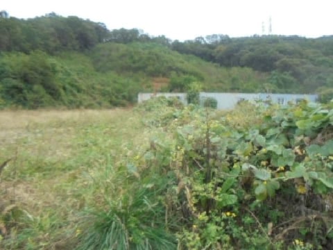 물건 사진 8
