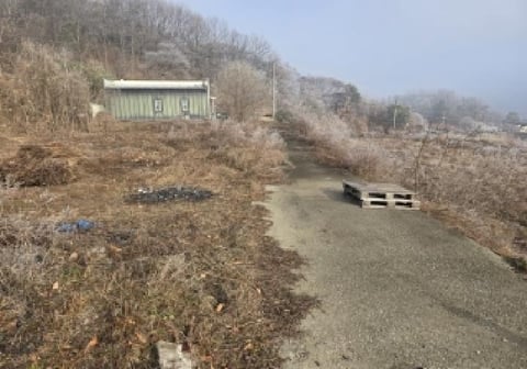 물건 사진 2