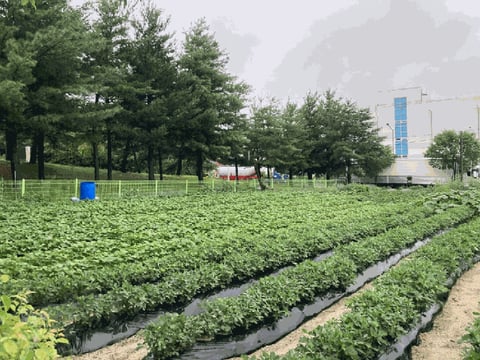 물건 사진 3