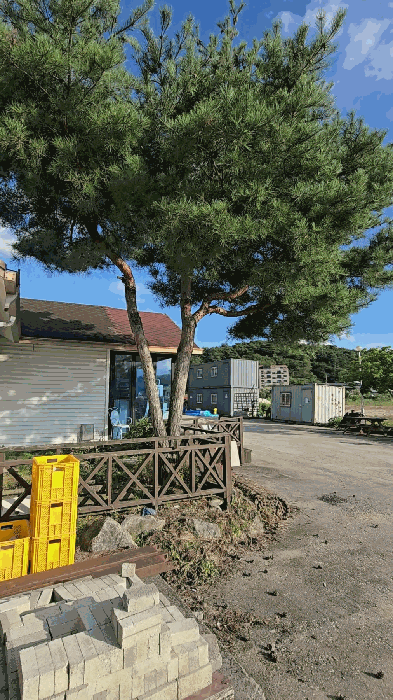 물건 사진 26