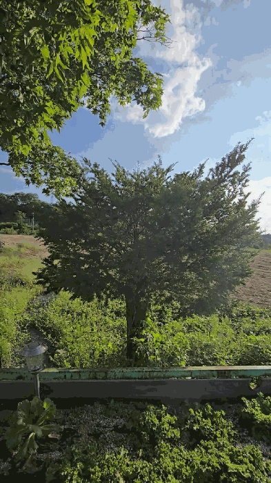 물건 사진 34