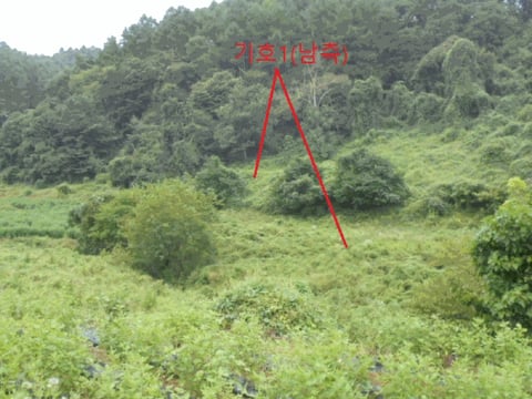 물건 사진 28