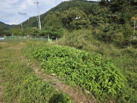 물건 사진 7