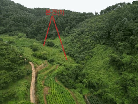물건 사진 17