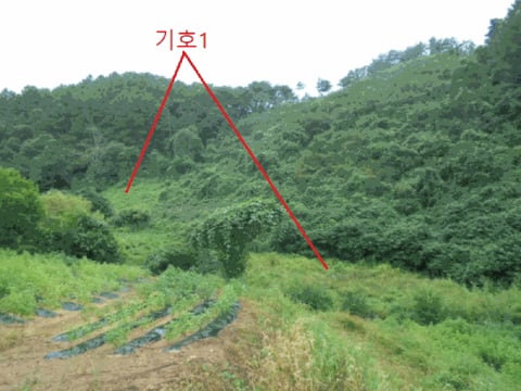 물건 사진 18