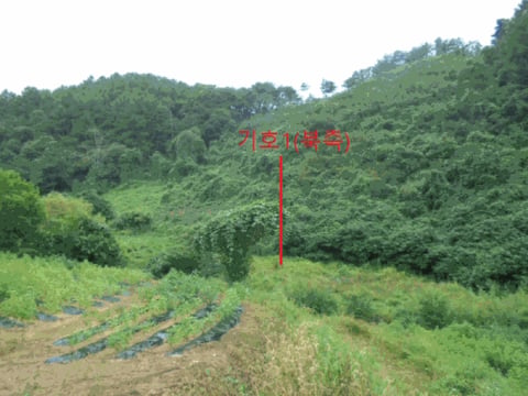 물건 사진 19