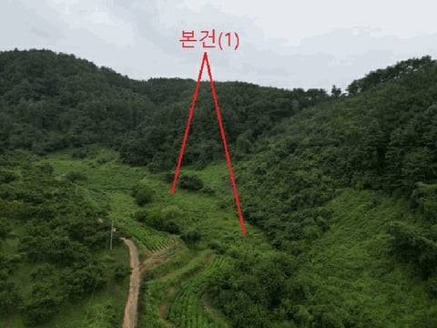 물건 사진 10